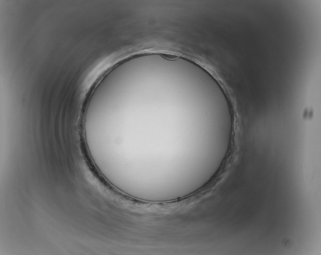 X0000113130007200909040945
