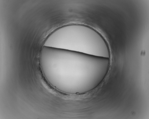 X0000113130009200909040945
