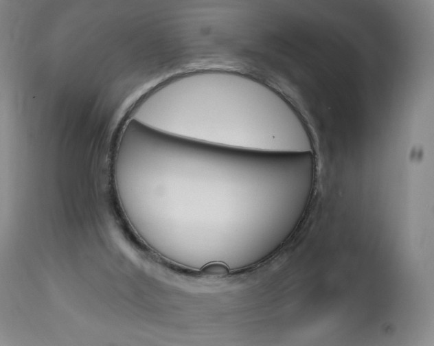 X0000113130012200909040944