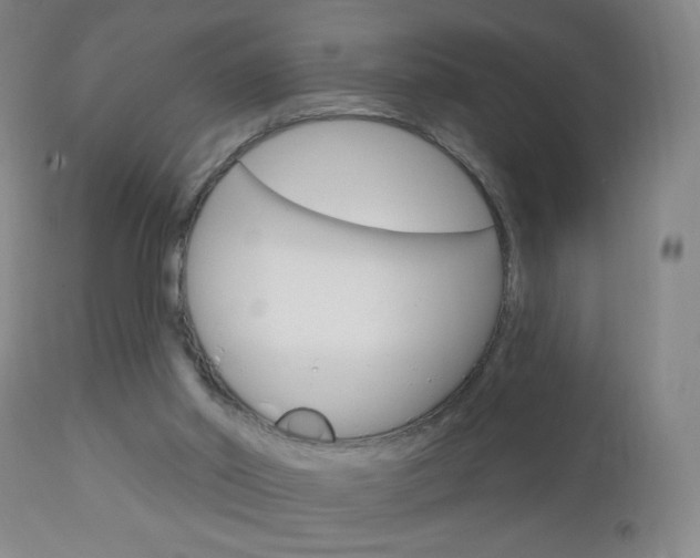 X0000113130014200909040944