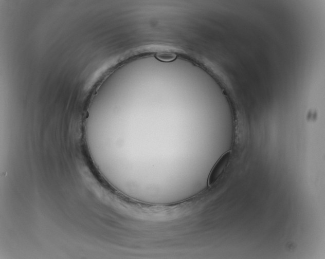 X0000113130015200909040944