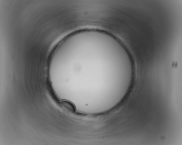 X0000113130016200909040944