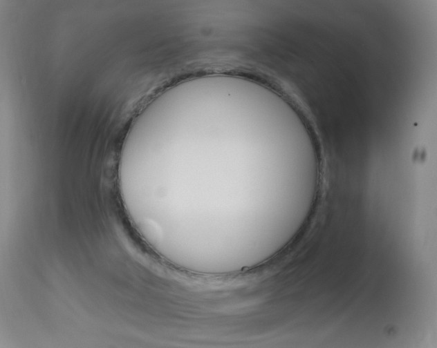X0000113130018200909040944