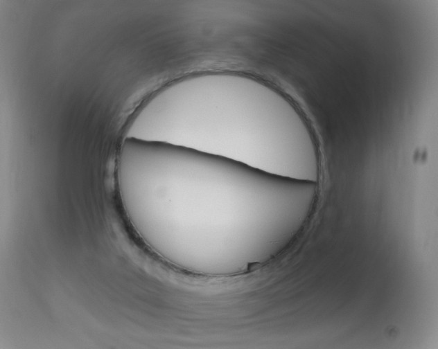 X0000113130019200909040944