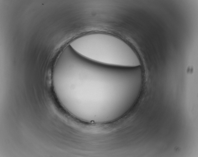 X0000113130020200909040944