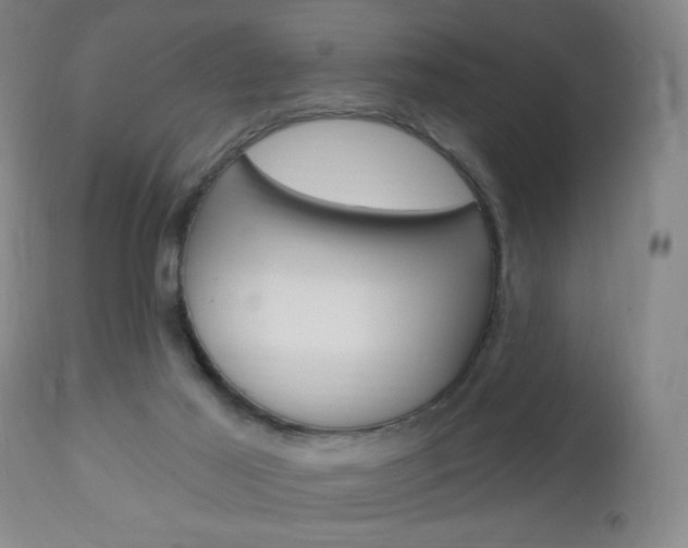 X0000113130021200909040944