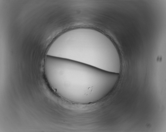 X0000113130023200909040944