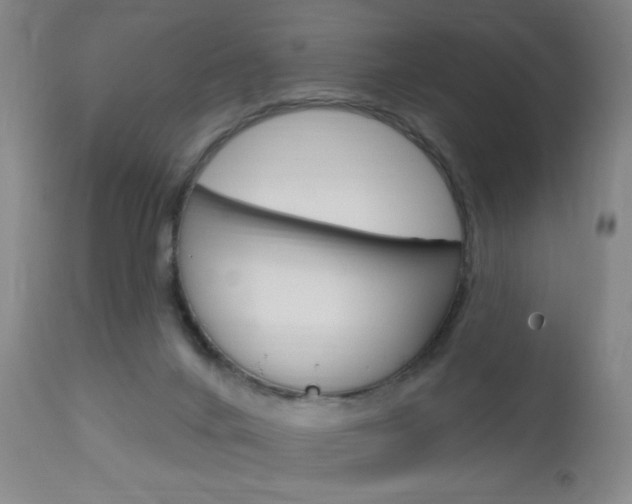 X0000113130024200909040944