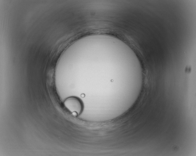 X0000113130026200909040944