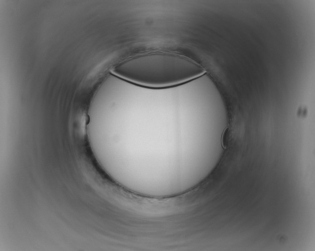 X0000113130027200909040944