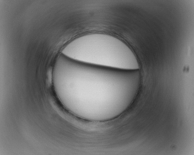 X0000113130028200909040944