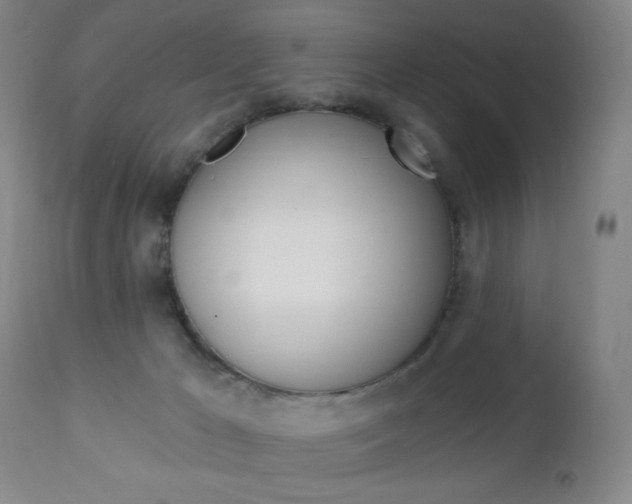 X0000113130029200909040944