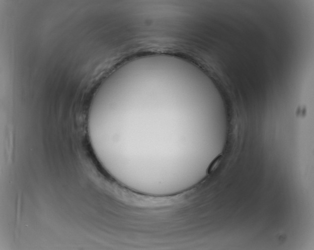 X0000113130031200909040944
