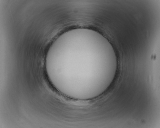 X0000113130032200909040944