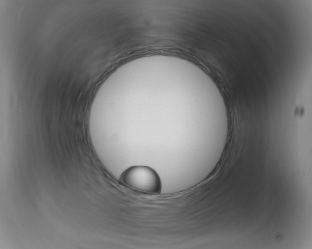 X0000113130033200909040944