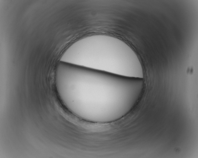 X0000113130036200909040944