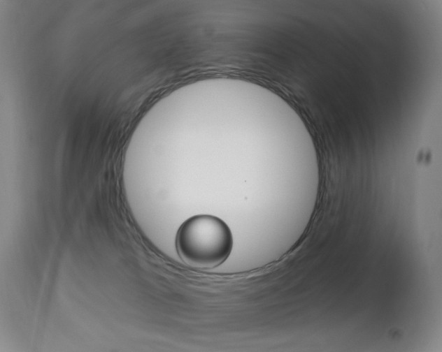 X0000113130037200909040944