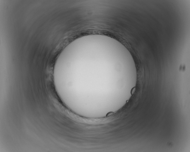 X0000113130038200909040944