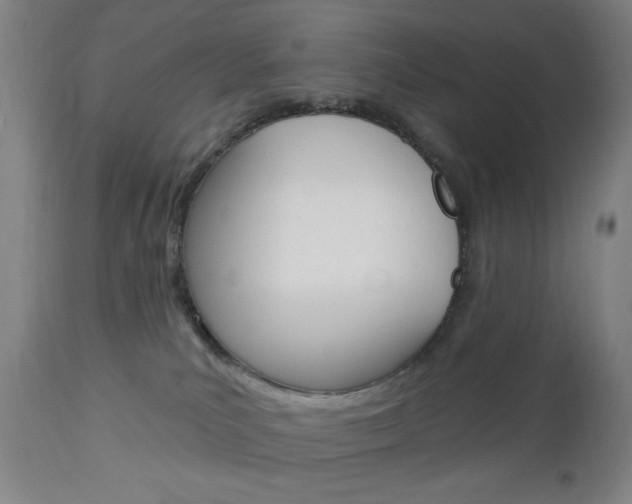 X0000113130039200909040944
