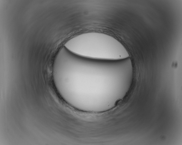 X0000113130040200909040944