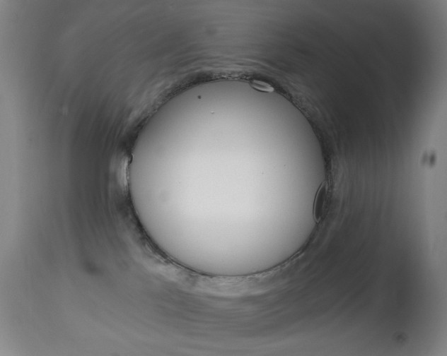 X0000113130041200909040944