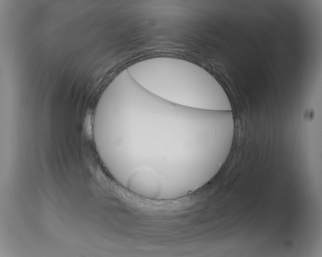 X0000113130042200909040944