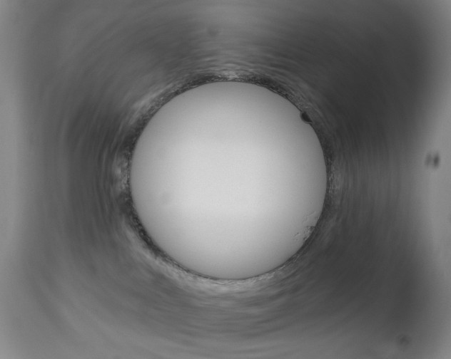 X0000113130043200909040944