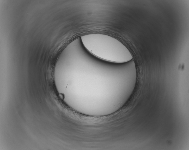 X0000113130044200909040944