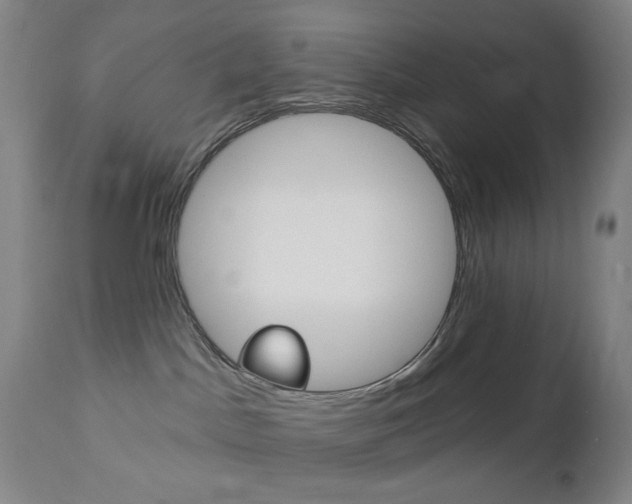 X0000113130045200909040944