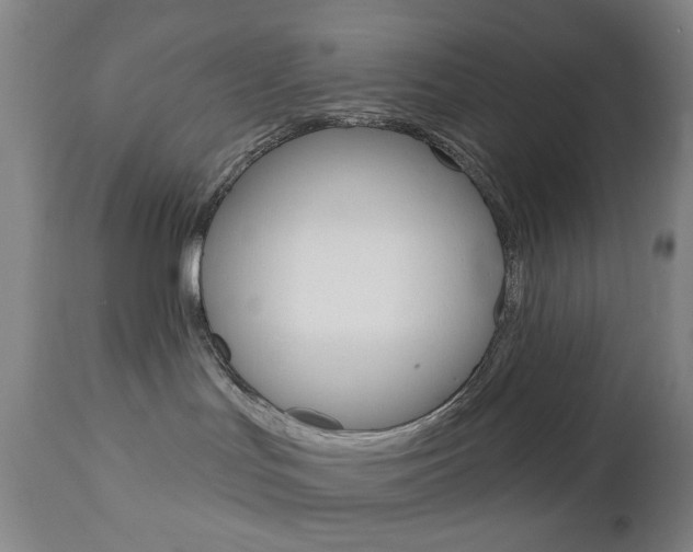 X0000113130047200909040944