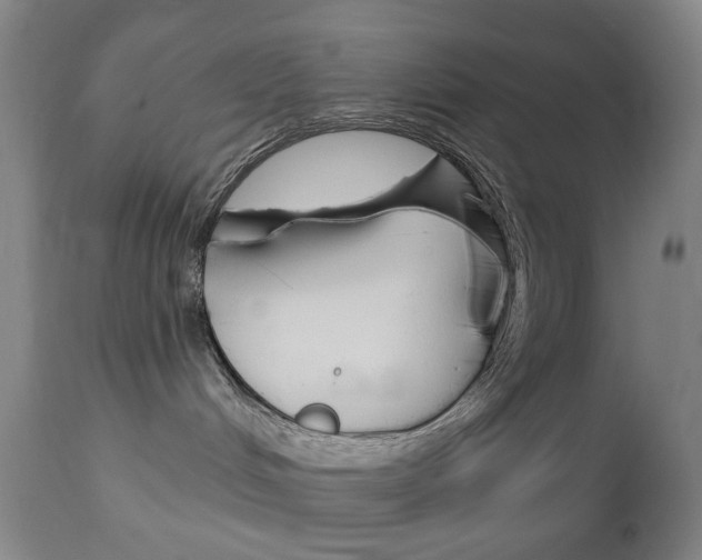 X0000113130048200909040944