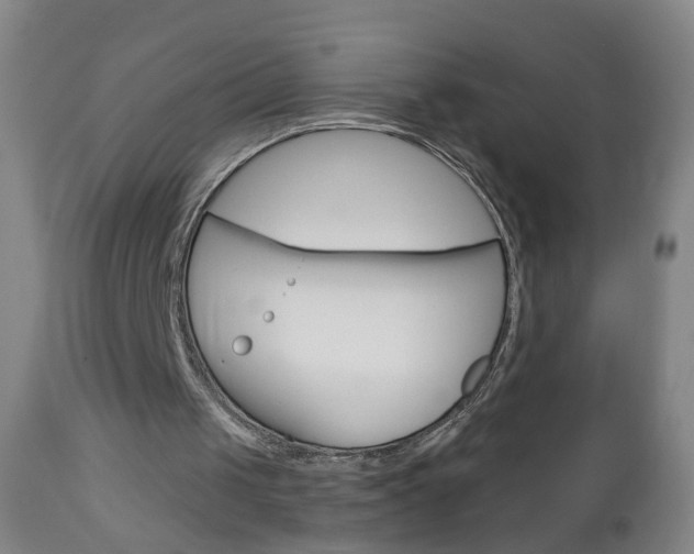 X0000113130049200909040943