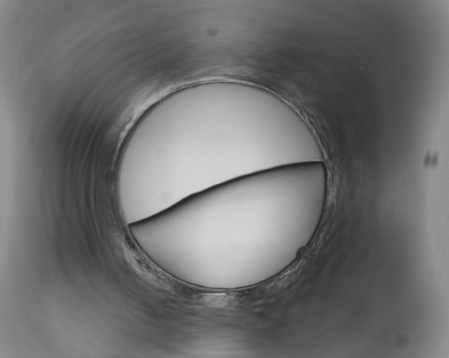 X0000113130050200909040943