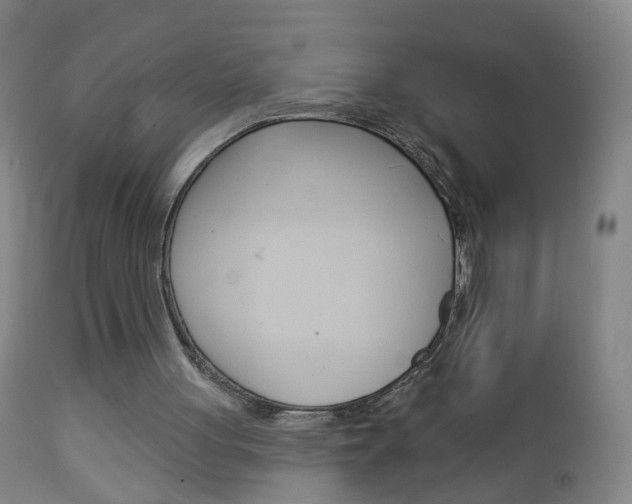 X0000113130051200909040943