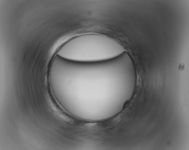 X0000113130054200909040943