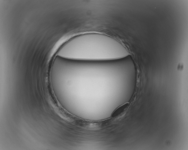 X0000113130056200909040943