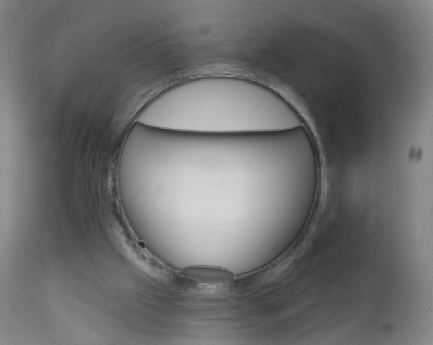 X0000113130057200909040943