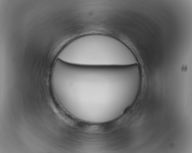 X0000113130058200909040943