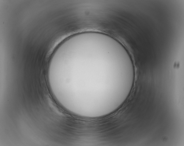 X0000113130060200909040943