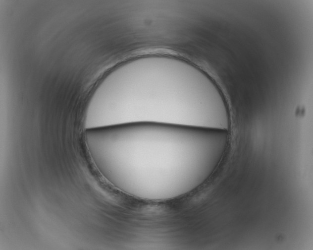 X0000113130063200909040943