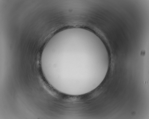 X0000113130065200909040943