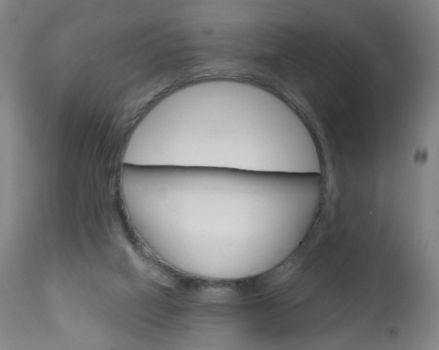 X0000113130066200909040943