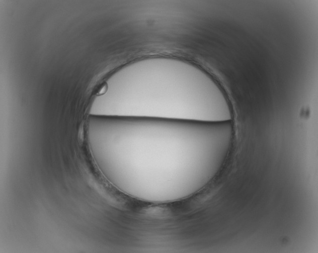 X0000113130067200909040943