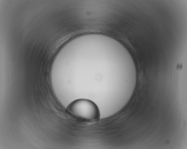 X0000113130068200909040943