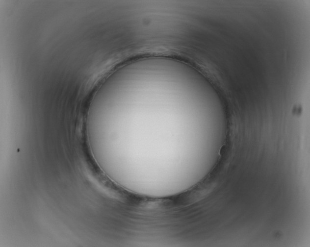 X0000113130072200909040943