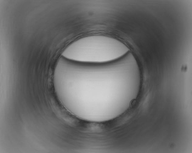 X0000113130073200909040943