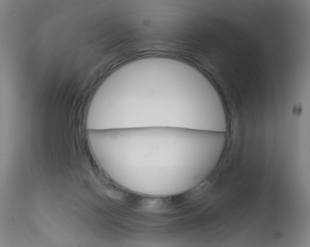 X0000113130074200909040943