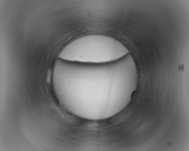 X0000113130075200909040944