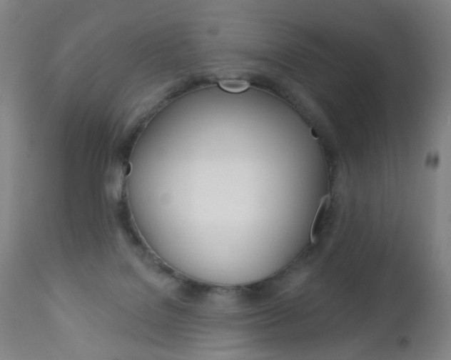 X0000113130076200909040944