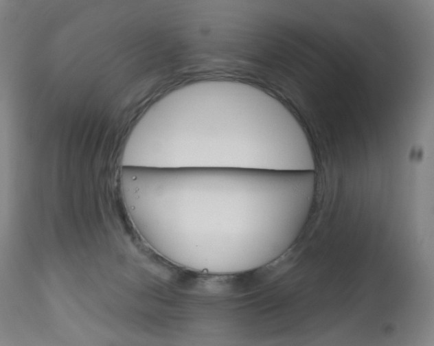 X0000113130078200909040944